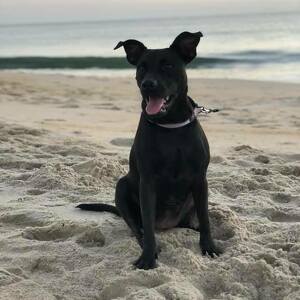 Fundraising Page: Amy Winnemore